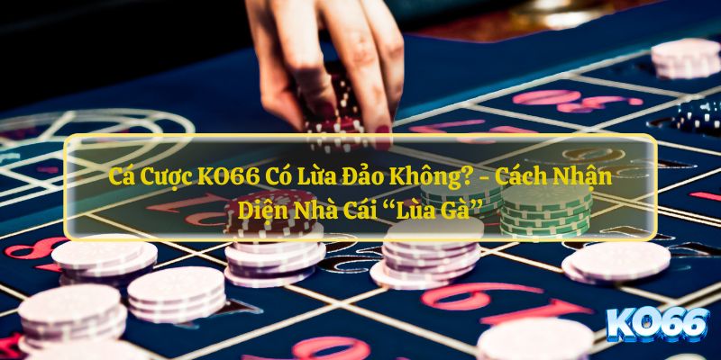 Ca-Cuoc-KO66-Co-Lua-Dao-Khong-Cach-Nhan-Dien-Nha-Cai-“Lua-Ga”