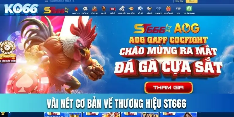 Đôi nét cơ bản về nhà cái ST666